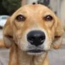 caramelinho_123