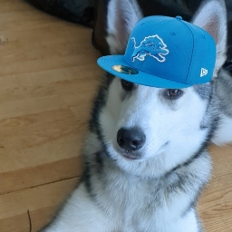 lukas.official#0's pfp