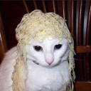 cinnamonfish_#4319's avatar