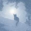 snoweody