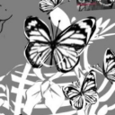 avatar Belxitsudiaron