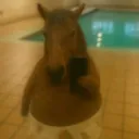 jrzdagoat