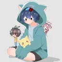 catsvanished