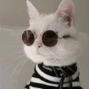 elgttito avatar