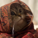 avatar TASKEEN ZAHRA