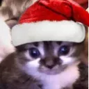 frostymonke