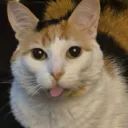 iamnotpatosogamer