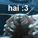 avatar 𝙳𝚊𝚋𝚘𝚐𝚐𝚎𝚗