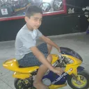 tavimdx