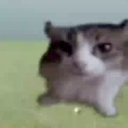 au