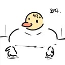 mms526