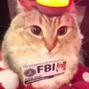 fbicat_official