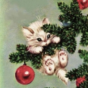 avatar Cheesy Mushroom