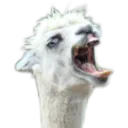 erki2