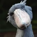 johnclarkee