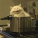 Cooldad333's Avatar