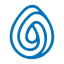 suiinsights