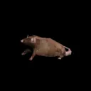 trashtarkovrat