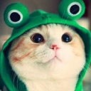 avatar 009
