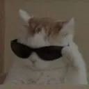 mmlldaa