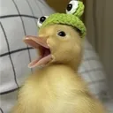 pickle_mai
