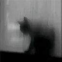 eduvoid