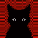 iamnr343