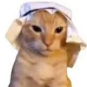 ay_.1