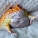 avatar Dolphin’s right frog leg