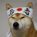 onchainmoe