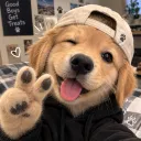 raymond.com