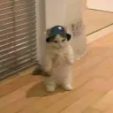 .felix.6567 avatar