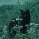 avatar ✧   ·     kb