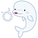しろいるか