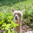 avatar Ghost_Hunter918™