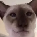 Аватар biber_i_dolik0