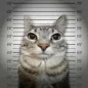 yoalexx avatar