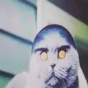 0a3a3