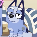 avatar 𐂯 ⊹ ˚ ⋆ ୭ raccoonpup ୭⋆˚⊹𐂯