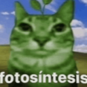 operateurfoxtrot