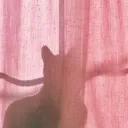 .micchi
