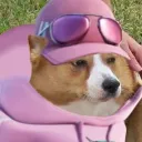 vxrxfn