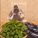 Discord Avatar