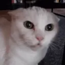 Аватар inf_btw.