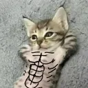 aleeelm1