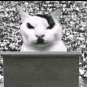 ADOLF YOGI!!'s Avatar