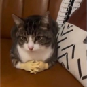 avatar 𝑗𝑢𝑙𝑖