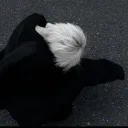 zxqrq avatar