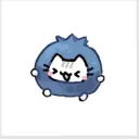 igndaahyroo