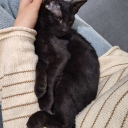 avatar 𝑁𝑒𝑖☆